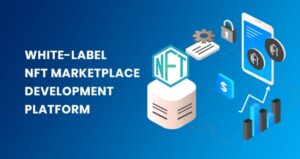 NFT Marketplace Platform Development: Everything You Need to Know