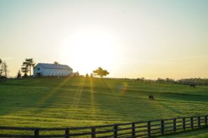 Farm Insurance