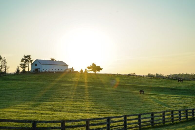 Farm Insurance
