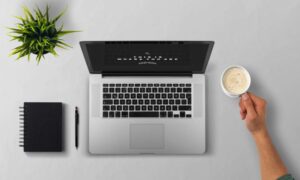 Placing Your Bet Online