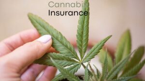 Cannabis Insurance: 8 Policies Your Business Needs