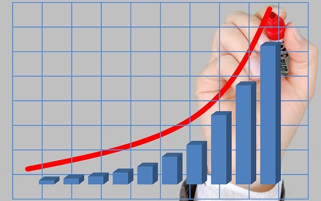 investment process steps