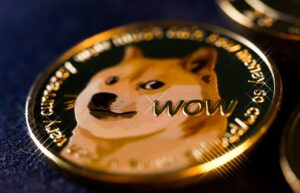 Dogecoin's Market Journey