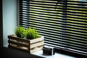 motorized blinds