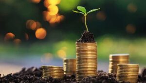 Endowment Policies