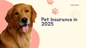 Pet Insurance