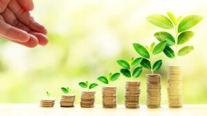 Image depicting rise in wealth via fixed deposit like a tree