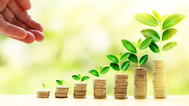 Image depicting rise in wealth via fixed deposit like a tree