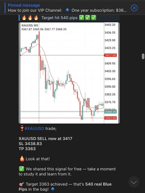 best forex signals telegram «GoldBearFX»