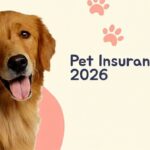 Lemonade Pet Insurance