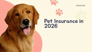 Lemonade Pet Insurance