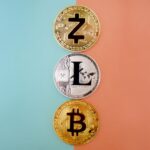 Next Altcoin Cycle